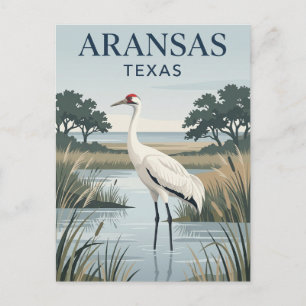Cartão Postal Refúgio Nacional de Vida Selvagem Aransas EUA