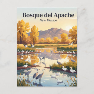 Cartão Postal Refúgio Nacional de Vida Selvagem Bosque del Apach