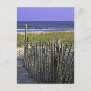 Cartão Postal Refúgio Nacional de Vida Selvagem em Chincoteague