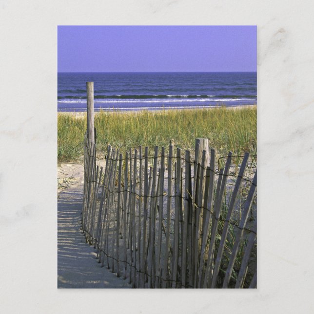 Cartão Postal Refúgio Nacional de Vida Selvagem em Chincoteague (Frente)