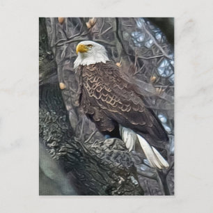 Cartão Postal Regal Bald Eagle