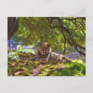 CARTÃO POSTAL REGAL LION
