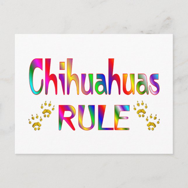 Cartão Postal Regra Chihuahuas (Frente)