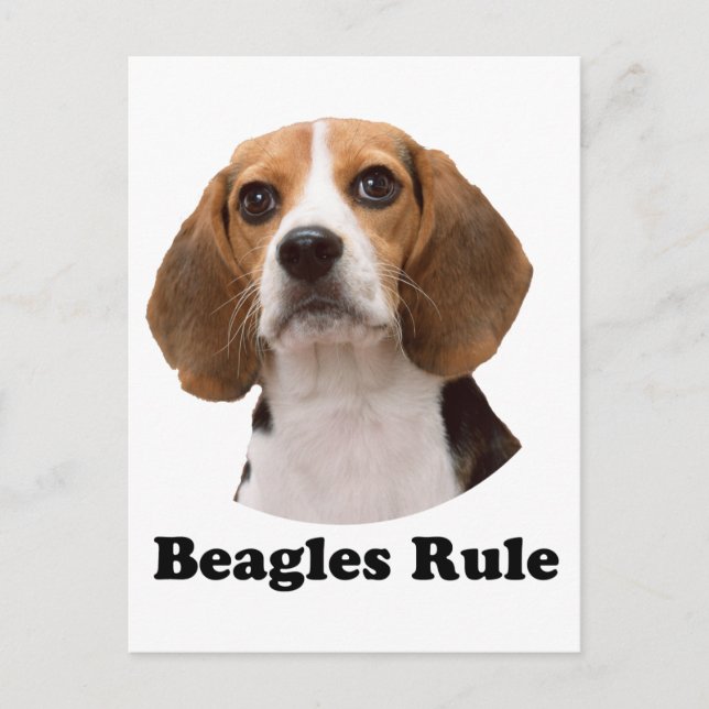 Cartão Postal Regra de Beagles (Frente)