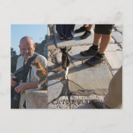 Cartão Postal Regra de Gato no Cartão-postal Ephesus