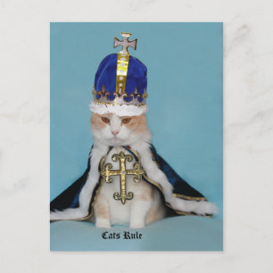 Cartão Postal Regra de Gatos