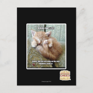 Cartão Postal Regra de Kit nº 231