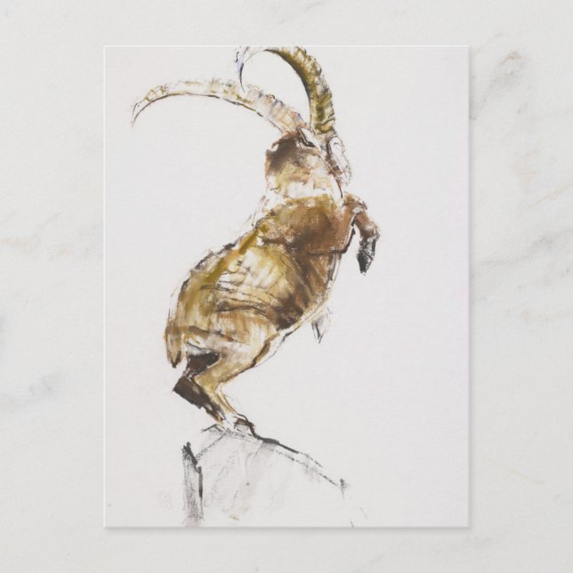 Cartão Postal Rei da Montanha 2005 (Frente)