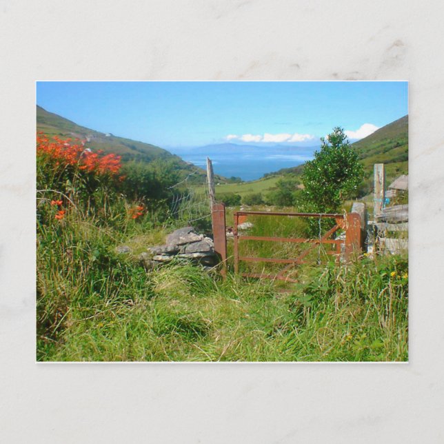 Cartão Postal Rei de Kerry Supervisionando o Dia do Dingle (Frente)