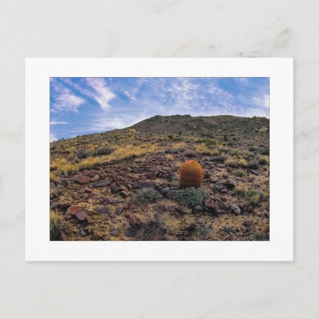 Cartão Postal " Rei Do Monte " (Frente)