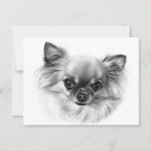 Cartão Postal Rei Pequeno - Retrato Chihuahua Pintado à Mão