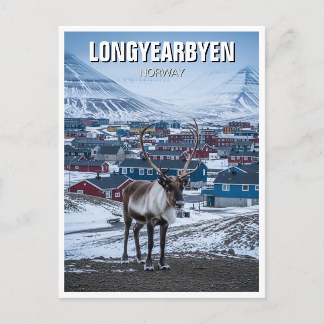Cartão Postal Reindeer Longyearbyen Svalbard Noruega (Frente)