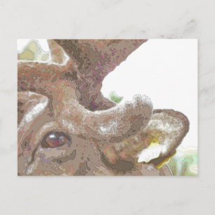 CARTÃO POSTAL REINDETOR