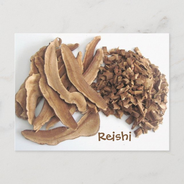 Cartão Postal Reishi Mushroom (Frente)