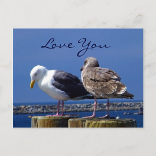 Cartão Postal Relações_