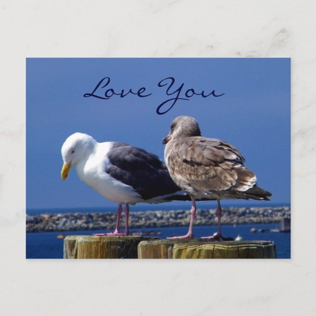 Cartão Postal Relações_ (Frente)