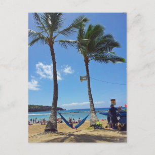 Cartão Postal Relaxamento em uma praia de Havaí