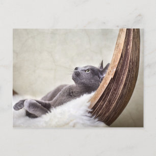 Cartão Postal Relaxe