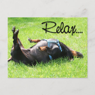 Cartão Postal Relaxe Fique Bem - Dachshund - Hoover
