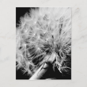 Cartão Postal Relógio Dandelion