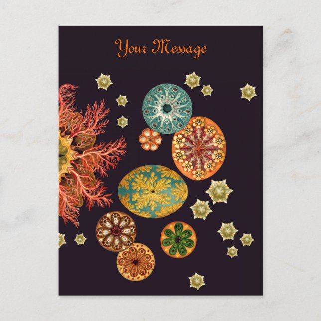 Cartão postal Remix de Esguicho-do-mar (Frente)