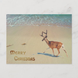 Cartão Postal Rena no beach surreal Feliz Natal