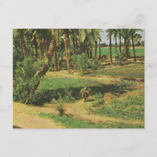 Cartão Postal Réplica Vintage Egito, agricultura Nilo delta
