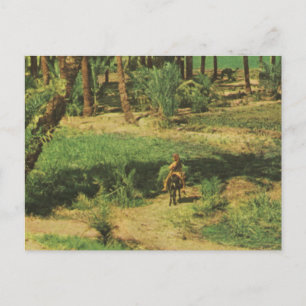 Cartão Postal Réplica Vintage Egito, agricultura Nilo delta