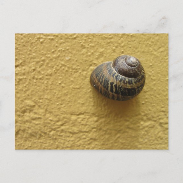 Cartão Postal Repouso (Frente)