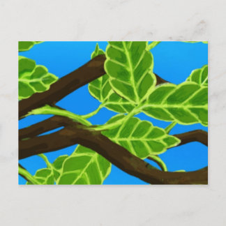 Cartão Postal Repouso