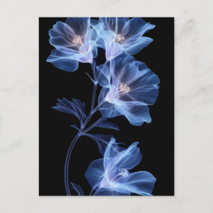 Cartão Postal Representação artística de uma flor através de rai