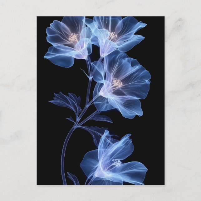 Cartão Postal Representação artística de uma flor através de rai (Frente)