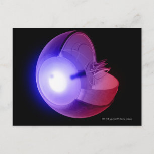 Cartão Postal Representação da estrutura do olho