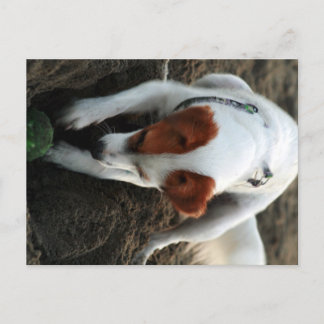 Cartão Postal "Reproduzir Duro"