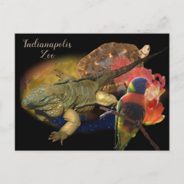 Cartão Postal Répteis e Aves do Zoológico de Indianapolis