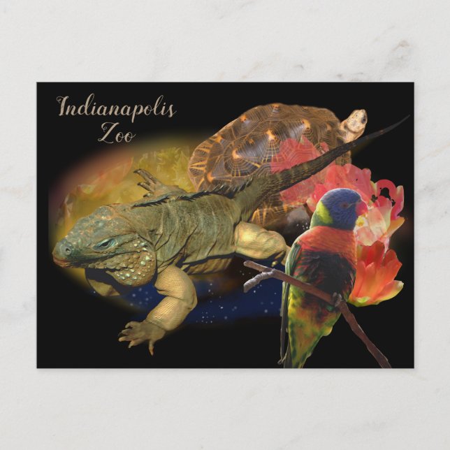Cartão Postal Répteis e Aves do Zoológico de Indianapolis (Frente)