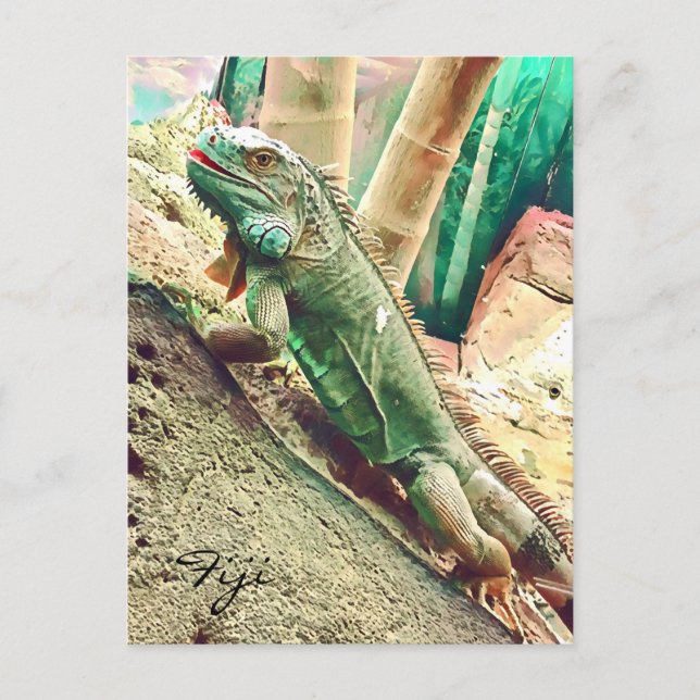 Cartão Postal réptil-lagarto Iguana (Frente)