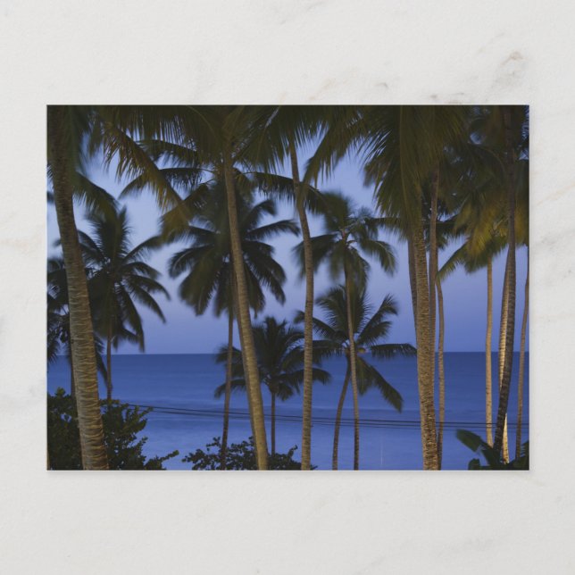 Cartão Postal República Dominicana, Península de Samana, Las (Frente)