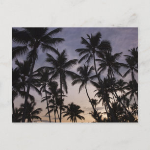 Cartão Postal República Dominicana, Península de Samana, Las 2