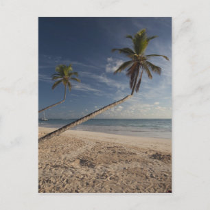 Cartão Postal República Dominicana, Região de Punta Cana, Bavaro