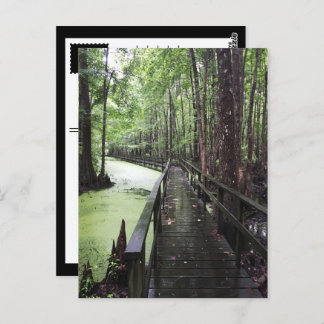 Cartão Postal reserva costeira de santeve