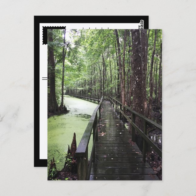 Cartão Postal reserva costeira de santeve (Frente/Verso)