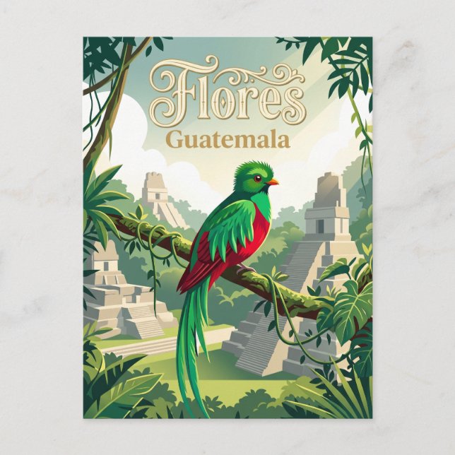 Cartão Postal Reserva da Biosfera Maya Guatemala (Frente)