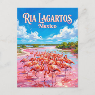 Cartão Postal Reserva da Biosfera Ria Lagartos México