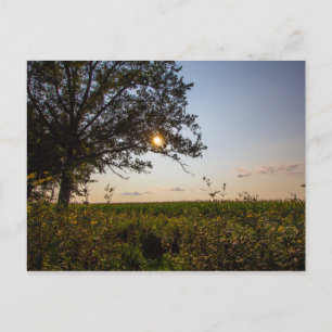 Cartão Postal Reserva de Estado do Cemitério Bigelow, Ohio