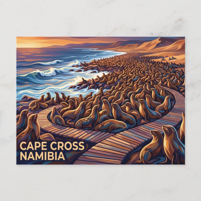 Cartão Postal Reserva de Focas do Cabo Cruz Namíbia (Frente)