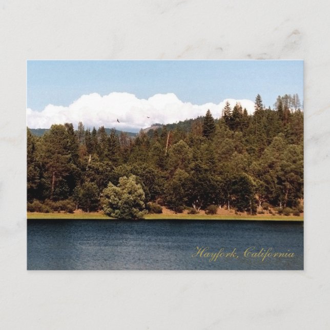 Cartão Postal Reservatório de Ewing na Primavera.... (Frente)