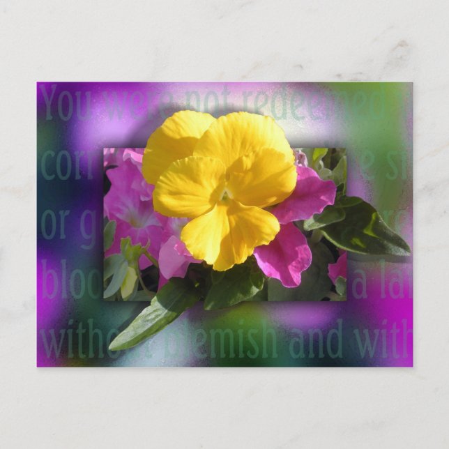 Cartão Postal Resgatado (Frente)