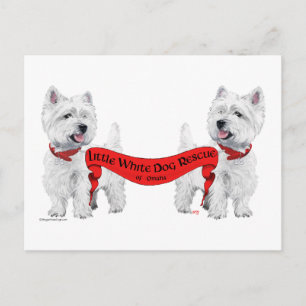 Cartão Postal Resgate de Cachorro Branco Pequeno