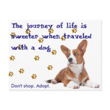 Resgate. Não compre.